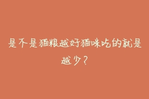 是不是猫粮越好猫咪吃的就是越少?-动物百科