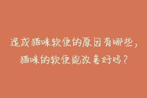 造成猫咪软便的原因有哪些,猫咪的软便能改善好吗?-动物百科