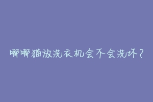 嘟嘟猫放洗衣机会不会洗坏?-动物百科