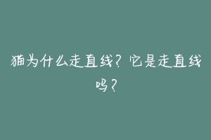 猫为什么走直线?它是走直线吗?-动物百科