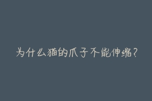 为什么猫的爪子不能伸缩?-动物百科