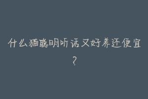 什么猫聪明听话又好养还便宜?-动物百科