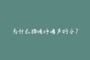 为什么猫咪呼噜声好小?-动物百科