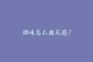 猫咪怎么擦屁股?-动物百科
