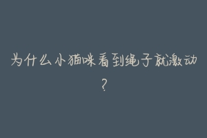 为什么小猫咪看到绳子就激动?-动物百科