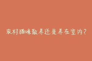 农村猫咪散养还是养在室内?-动物百科