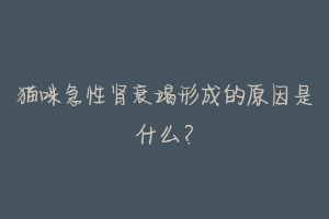 猫咪急性肾衰竭形成的原因是什么?-动物百科