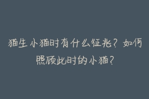 猫生小猫时有什么征兆?如何照顾此时的小猫?-动物百科