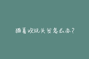 猫喜欢玩头发怎么办?-动物百科