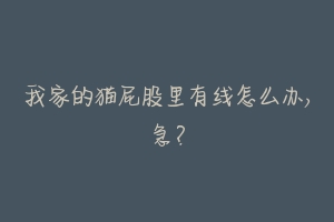 我家的猫屁股里有线怎么办,急?-动物百科