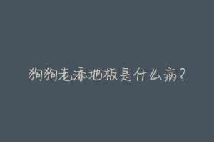 狗狗老添地板是什么病?-动物百科