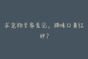 求宠物专家意见,猫咪口鼻红肿?-动物百科