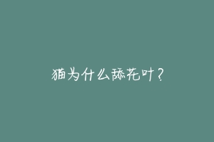 猫为什么舔花叶?-动物百科
