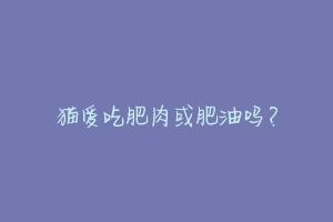 猫爱吃肥肉或肥油吗?-动物百科