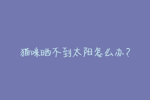 猫咪晒不到太阳怎么办?-动物百科