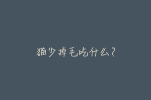 猫少掉毛吃什么?-动物百科