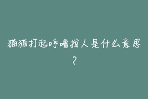 猫猫打起呼噜找人是什么意思?-动物百科
