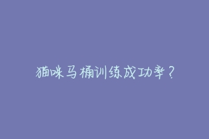 猫咪马桶训练成功率?-动物百科