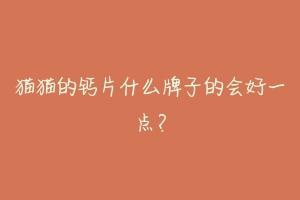猫猫的钙片什么牌子的会好一点?-动物百科