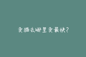 卖猫去哪里卖最快?-动物百科