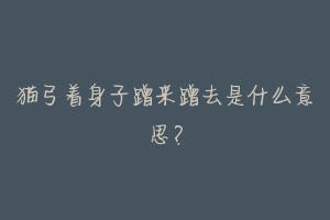 猫弓着身子蹭来蹭去是什么意思?-动物百科