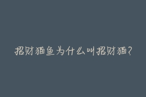 招财猫鱼为什么叫招财猫?-动物百科