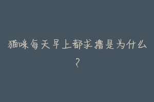 猫咪每天早上都求撸是为什么?-动物百科