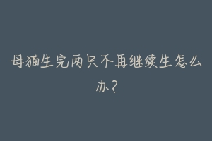 母猫生完两只不再继续生怎么办？-动物百科