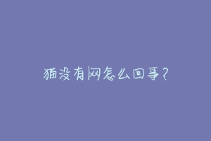 猫没有网怎么回事？-动物百科