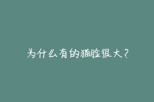为什么有的猫脸很大？-动物百科