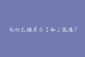 为什么猫养久了和人很像？-动物百科