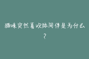 猫咪突然喜欢舔同伴是为什么?-动物百科