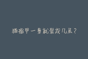 猫指甲一剪就裂成几层?-动物百科