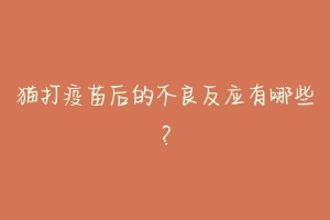 猫打疫苗后的不良反应有哪些?-动物百科