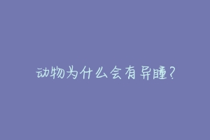 动物为什么会有异瞳?-动物百科