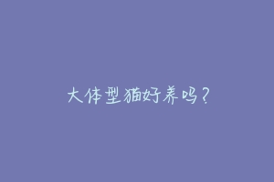 大体型猫好养吗?-动物百科