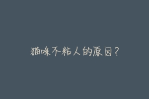 猫咪不粘人的原因?-动物百科