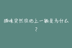猫咪突然往地上一躺是为什么?-动物百科
