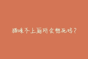 猫咪不上厕所会憋死吗?-动物百科