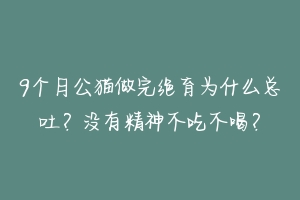 9个月公猫做完绝育为什么总吐?没有精神不吃不喝?-动物百科