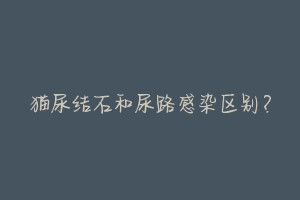 猫尿结石和尿路感染区别?-动物百科