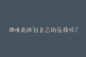 猫咪能舔到自己的后颈吗?-动物百科
