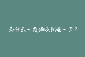 为什么一摸猫咪就喵一声?-动物百科