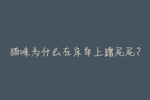 猫咪为什么在床单上蹭屁屁?-动物百科