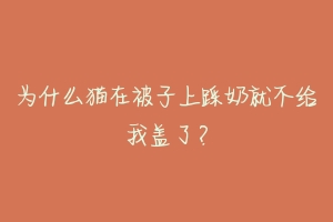 为什么猫在被子上踩奶就不给我盖了?-动物百科