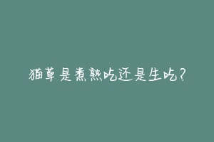 猫草是煮熟吃还是生吃?-动物百科