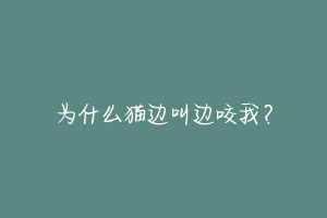 为什么猫边叫边咬我?-动物百科