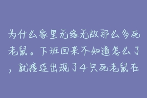 为什么家里无缘无故那么多死老鼠。下班回来不知道怎么了,就接连出现了4只死老鼠在不同地方。求解?-动物百科