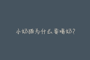 小奶猫为什么要喝奶?-动物百科