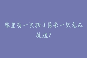 家里有一只猫了再来一只怎么处理?-动物百科